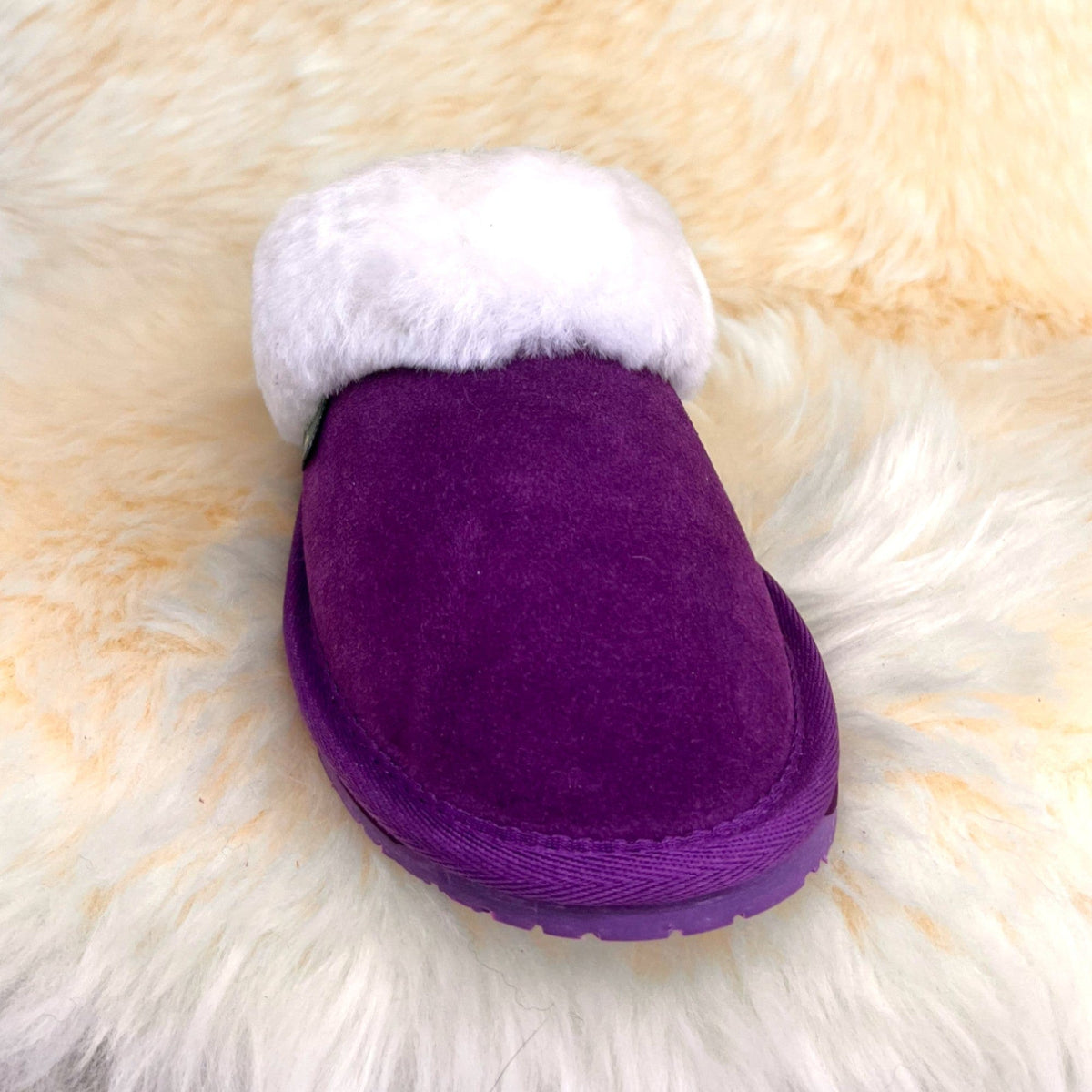 Women's purple sheepskin scuff slipper, front toe view