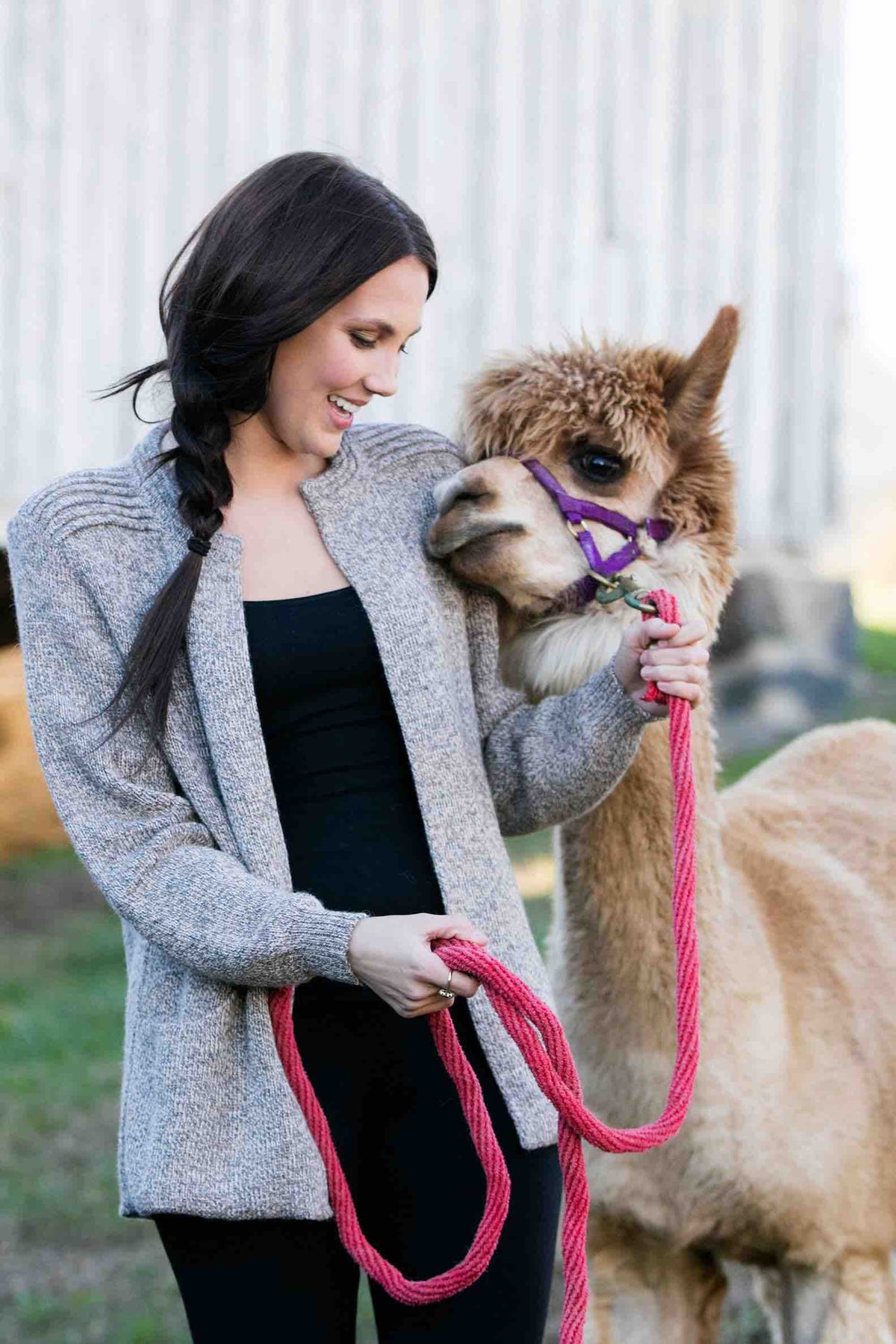 Woman in a gray alpaca cardigan sweater beside an alpaca